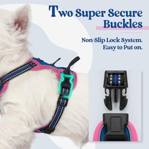rabbitgoo Dog Harness, No Pull for Small Dogs - Image 3