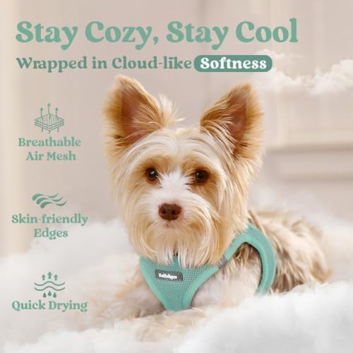 rabbitgoo Step-in Small Dog Harness, Puppy Vest - Image 3