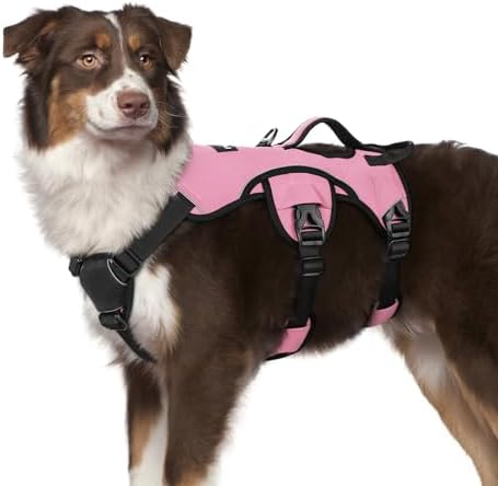 rabbitgoo Escape Proof Dog Harness by rabbitgoo