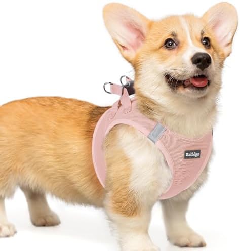 rabbitgoo Step-in Small Dog Harness, Puppy Vest by rabbitgoo