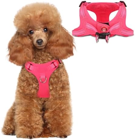 BARKBAY Small Dog Harness, No Pull Puppy Harness, Step-in Dog Vest by BARKBAY