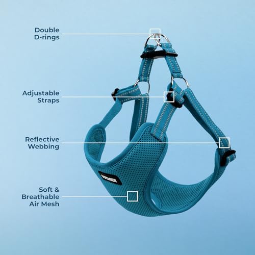 Voyager Step-in Flex Adjustable Dog Harness - Image 3