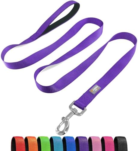 6 FT Reflective Dog Leash for Large Dogs by Penseepet