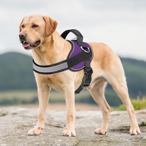 Haapaw Essential Dog Harness, No Pull Pet Vest - Image 3