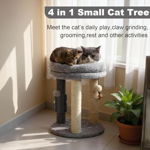 MECOOL 4in1 Small Cat Tree, Scratching Post - Image 2