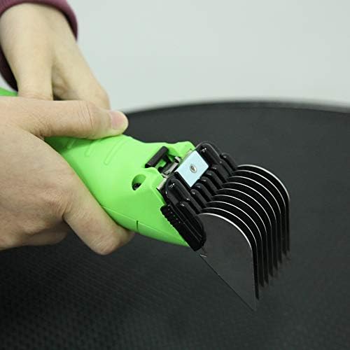 Professional Animal Stainless Steel Comb Set - Image 6