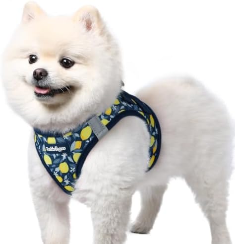rabbitgoo Step-in Small Dog Harness, Puppy Vest by rabbitgoo