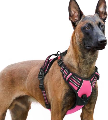 rabbitgoo Dog Harness for Large, Updated Easy On & Off by rabbitgoo