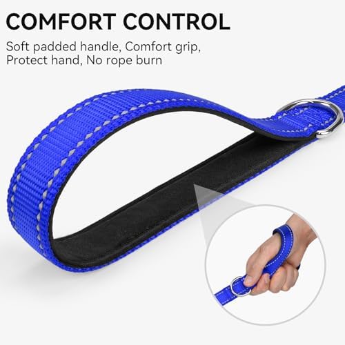 Joytale Reflective Dog Leash for Medium & Large Dogs, 4 FT x 1" - Image 3