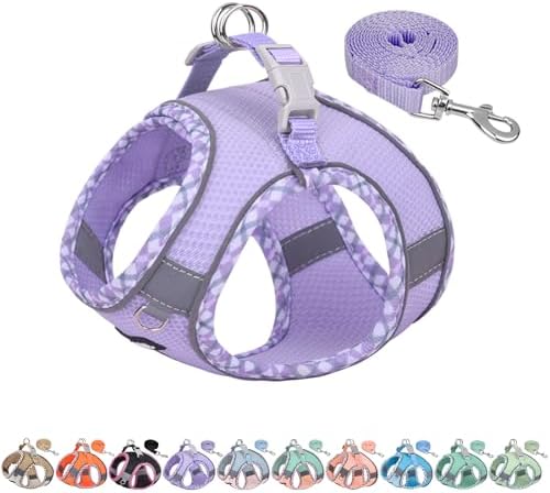 AIITLE Step in Dog Harness & Leash Set by AIITLE-FORPETSBETTERLIFE