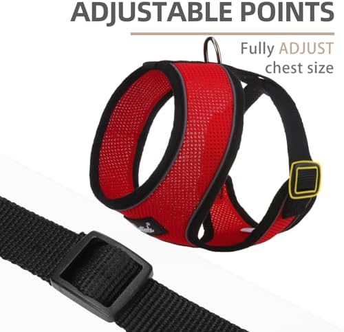 PUPTECK Small Dog Harness and Leash Set No Pull - Image 3