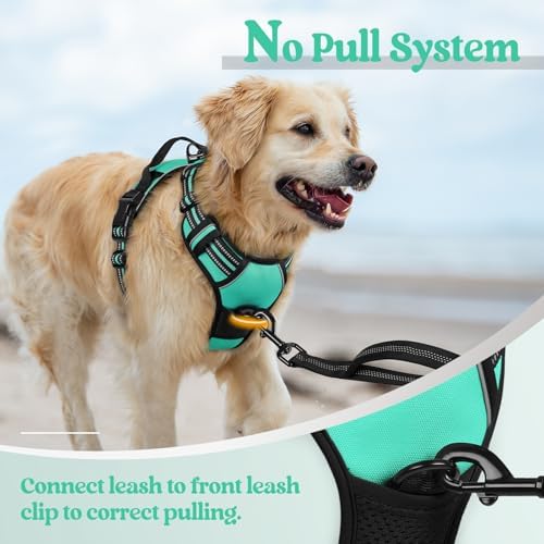 rabbitgoo Dog Harness, No Pull for Small Dogs - Image 5
