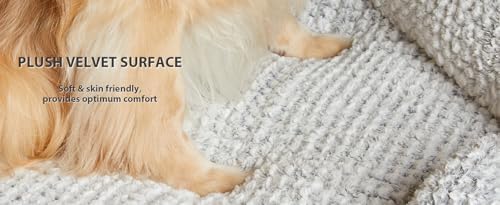 LEXTRO XL Orthopedic Dog Bed, Washable Dog Sofa Bed - Image 7