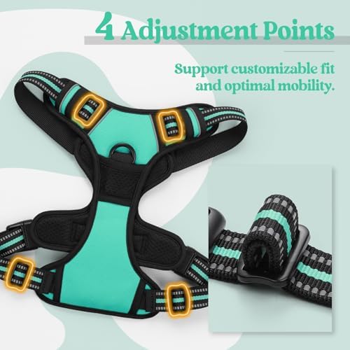 rabbitgoo Dog Harness, No Pull for Small Dogs - Image 4