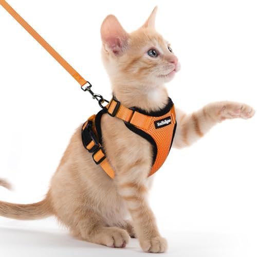 rabbitgoo Cat Harness and Leash Set, Escape Proof Vest by rabbitgoo