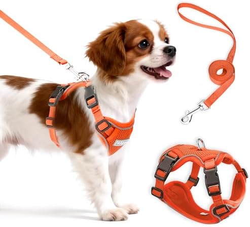 Small Dog Harness and Leash Set, Adjustable Small Sized Pet Vest by Unknown