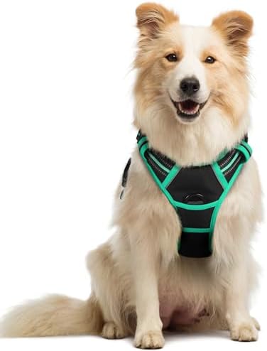 rabbitgoo Dog Harness, No Pull Medium Sized by rabbitgoo