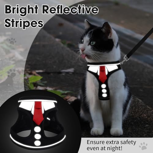 Cat Harness and Leash Set for Walking Escape Proof Vest for Kitten - Image 4