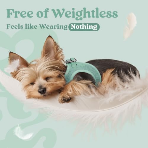 rabbitgoo Step-in Small Dog Harness, Puppy Vest - Image 4