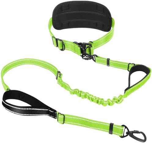 Hands Free Waist Dog Leash, 6-8FT Bungee Leash by PawistaPal