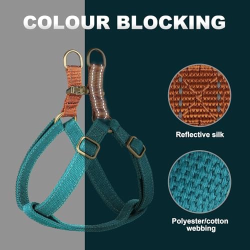 Didog Step in Dog Harnes for Medium Dogs, Chest 19-28" - Image 3
