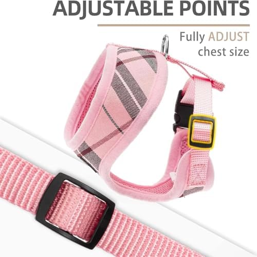 PUPTECK Small Dog Harness and Leash Set No Pull - Image 3