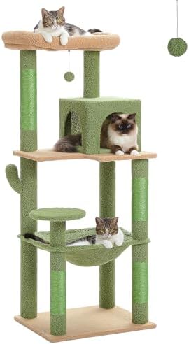 MUTTROS 56.3" Cactus Cat Tree by MUTTROS