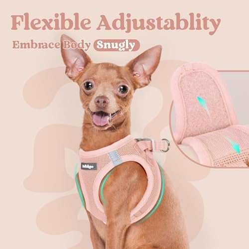 rabbitgoo Step-in Small Dog Harness, Puppy Vest - Image 6