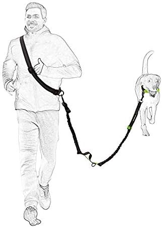 Mile High Life Hands Free Leash, Waist Leash - Image 5