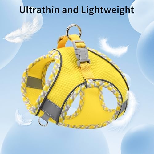 AIITLE Step in Dog Harness & Leash Set - Image 4