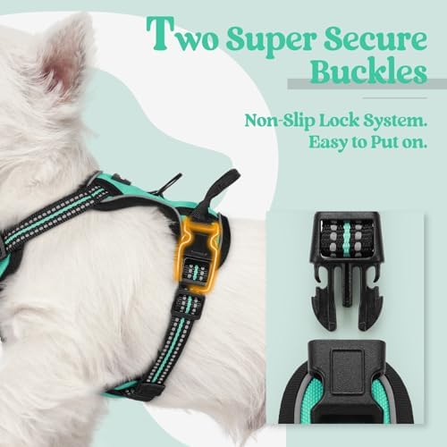 rabbitgoo Dog Harness, No Pull for Small Dogs - Image 3