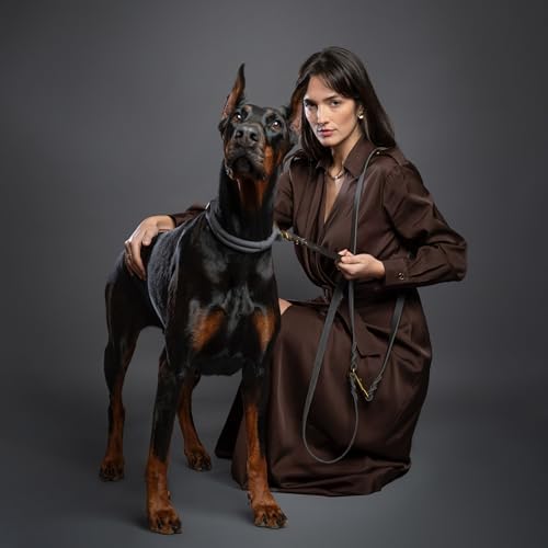 Noah & Paw Hands Free Dog Leash Leather Dog Leash - Image 3