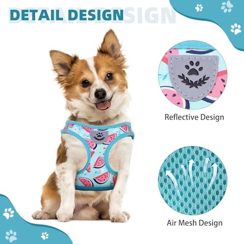 KOOLTAIL Dog Harness and Leash Set - Image 4