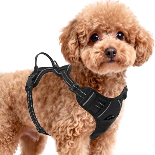 BARKBAY Dog Harness for Small Sized Dog No Pull 2 Leash Clips Dog Vest by BARKBAY