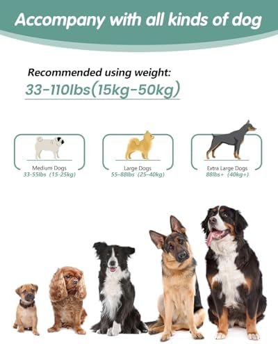 Hands Free Dog Leash - Image 6