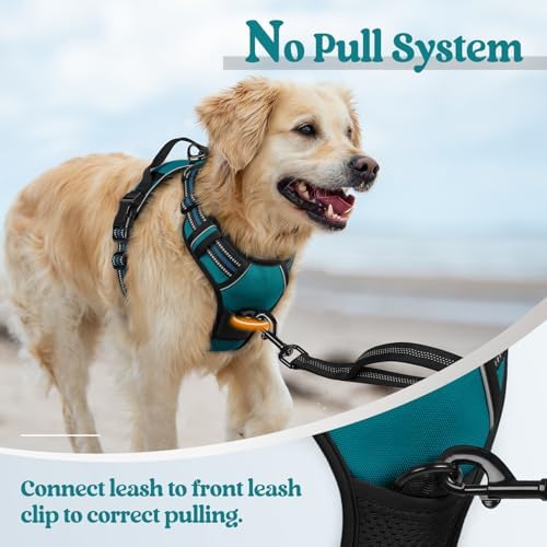 rabbitgoo Dog Harness, No Pull Medium Sized - Image 5