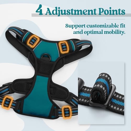 rabbitgoo Dog Harness, No Pull Medium Sized - Image 4