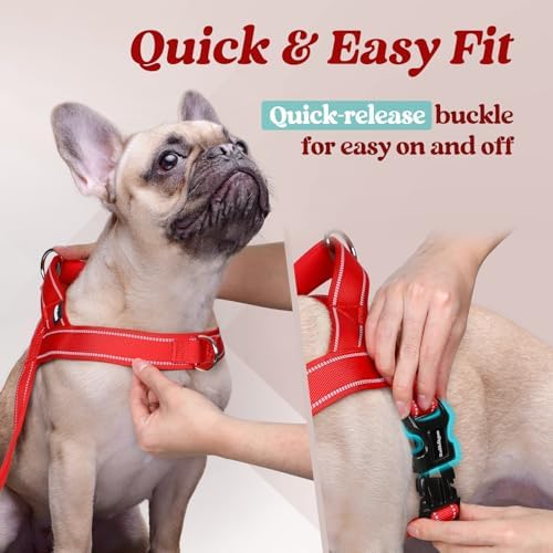 rabbitgoo Dog Harness No Pull, Quick Fit - Image 4