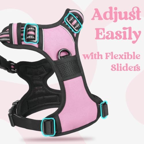 rabbitgoo Dog Harness for Large, Updated Easy On & Off - Image 3