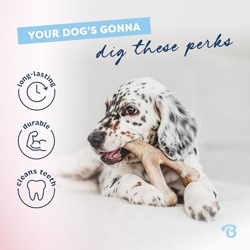 Benebone Puppy Wishbone Dog Chew Toy - Image 3