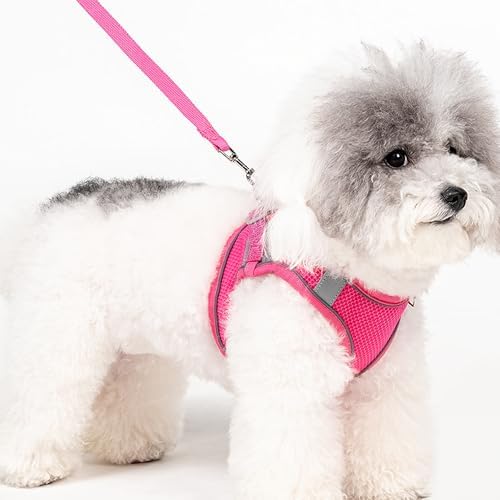 Dog Harness for Small Medium Sized Dog, Puppy Harness and Leash Set Training - Image 2
