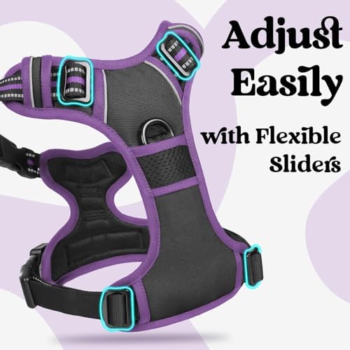 rabbitgoo Dog Harness Small Sized, Updated Easy On & Off - Image 3