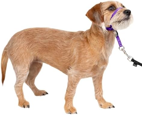 PetSafe Gentle Leader No Pull Dog Headcollar, Deep Purple by PetSafe