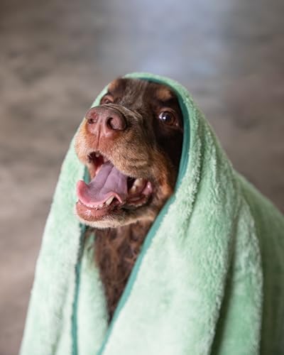 Two Tails Quick-Dry, Gromming Microfiber Dog Bath Towel - Image 4