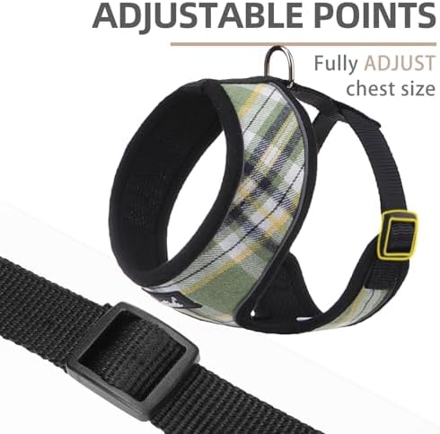 PUPTECK Small Dog Harness and Leash Set No Pull - Image 2