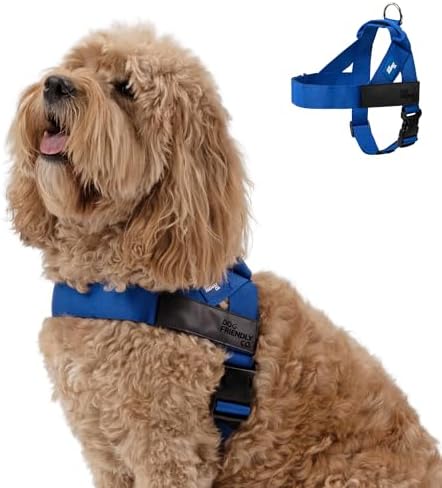 Dog Friendly Co. Dog Harness for Large Breeds by DogFriendly