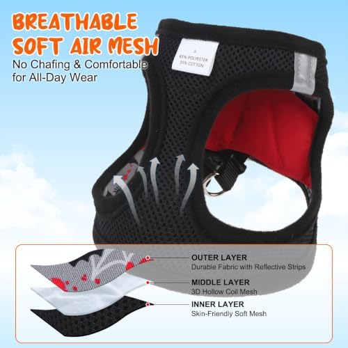 BEAUTYZOO Small Dog Harness and Leash Set, Step in No Choke No Pull Soft Mesh - Image 4
