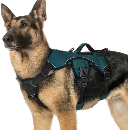 rabbitgoo Escape Proof Dog Harness by rabbitgoo