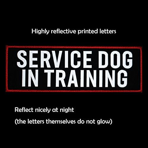 2 Pcs Reflective Service Dog in Training Patch Set - Image 2