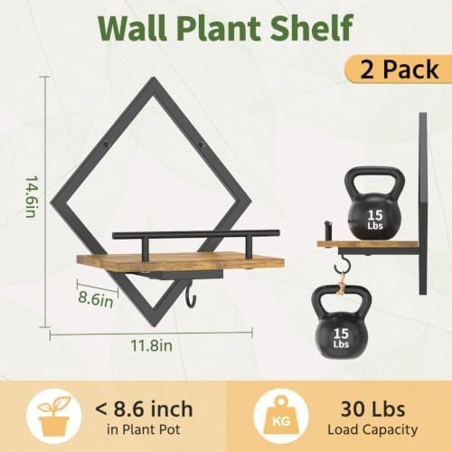 LASZOLA Plant Picture Frame Holder Shelf Wall Window Indoor - Image 2